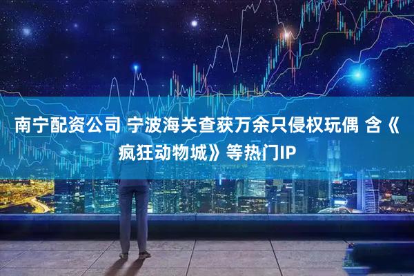 南宁配资公司 宁波海关查获万余只侵权玩偶 含《疯狂动物城》等热门IP